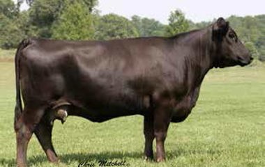 Lot 18 - 823T RUSTY 5135D ET
